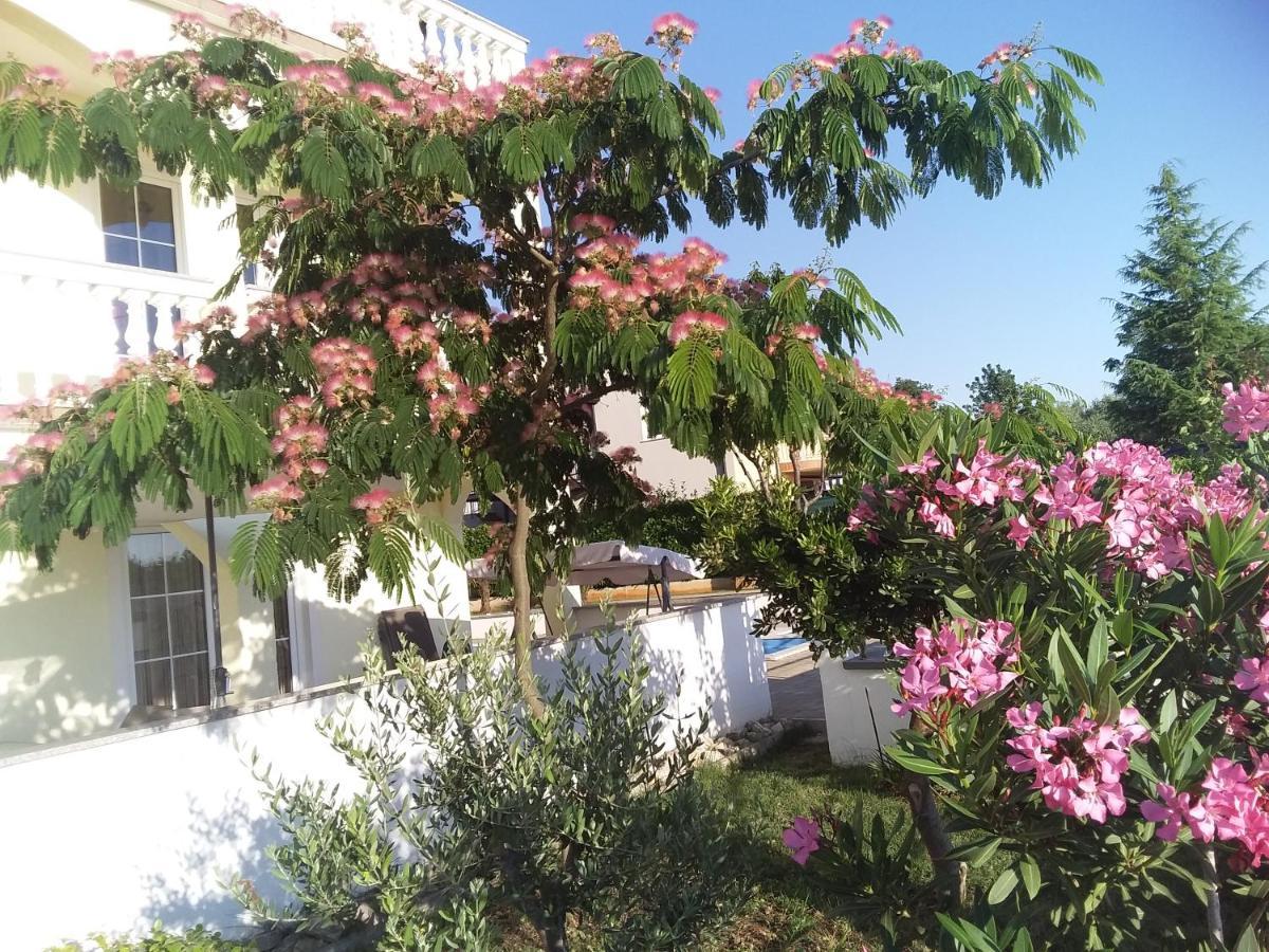 House Apartments Ariamare Πόρετς Εξωτερικό φωτογραφία