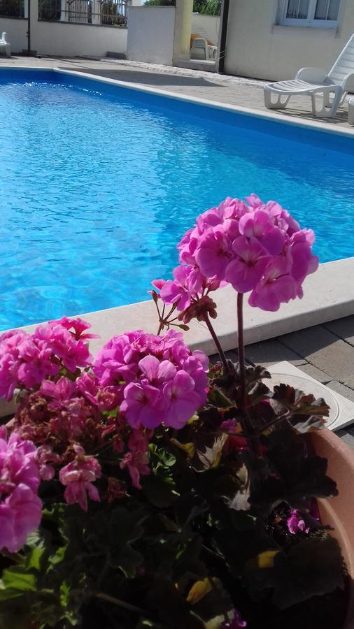 House Apartments Ariamare Πόρετς Εξωτερικό φωτογραφία